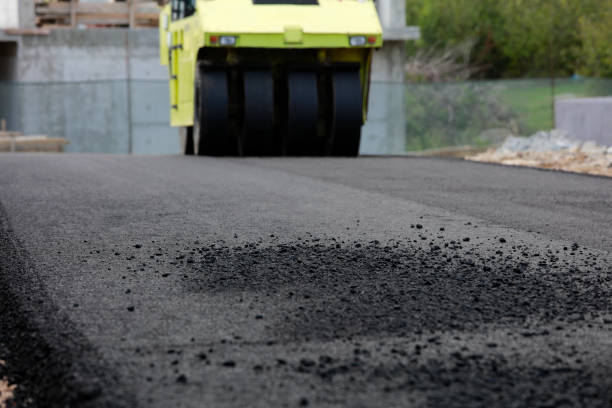 Best Custom Driveway Pavers  in Detroit Lakes, MN