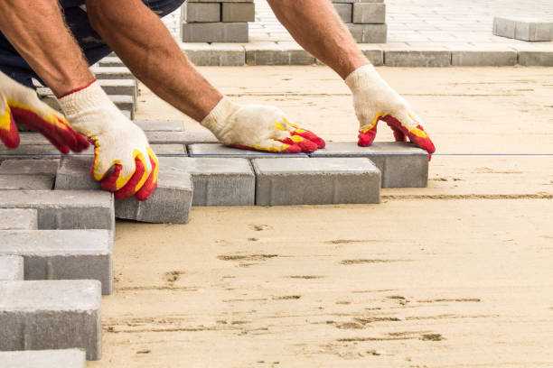 Best Driveway Pavers Near Me  in Detroit Lakes, MN